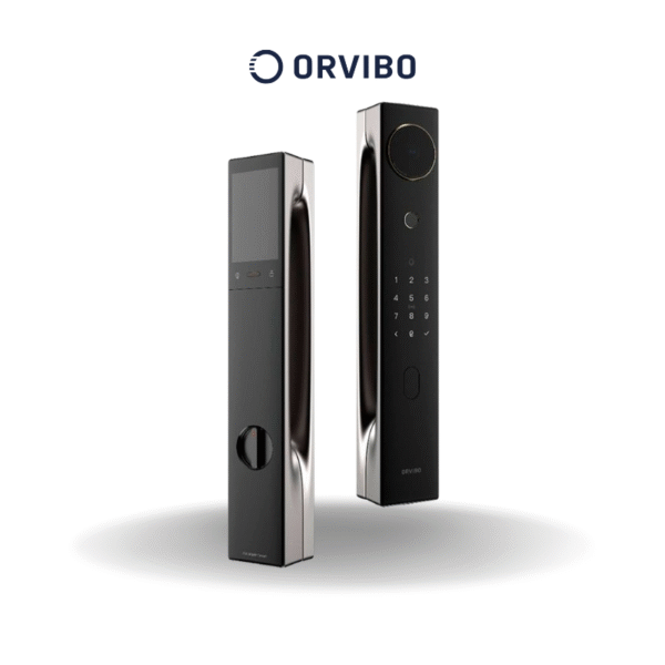 V5 face Smart Door Lock -black